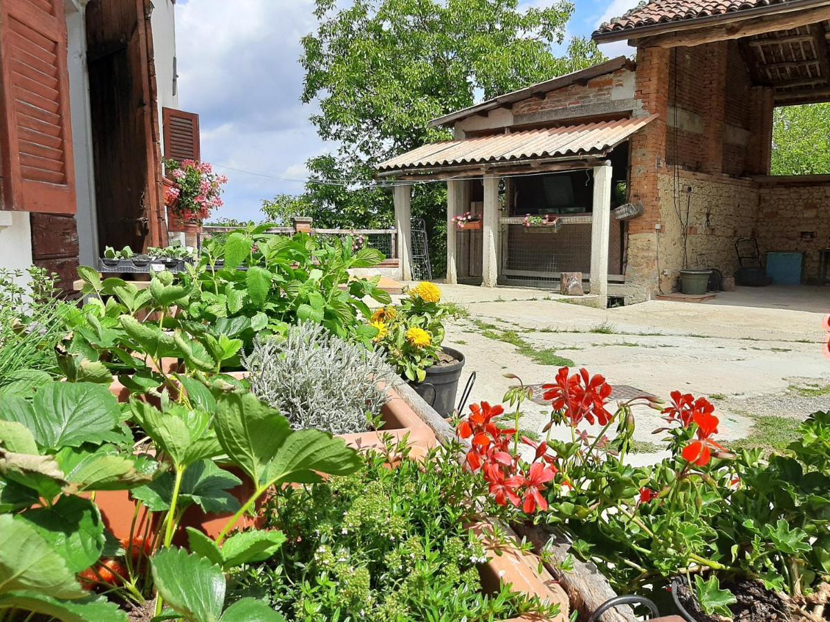 코르타조네 Cascina Teresina Monferrato Piscina 빌라 외부 사진